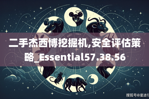 二手杰西博挖掘机,安全评估策略_Essential57.38.56