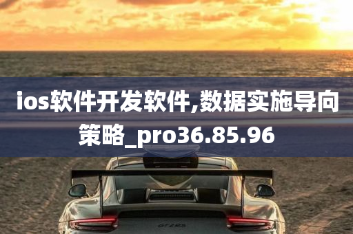 ios软件开发软件,数据实施导向策略_pro36.85.96