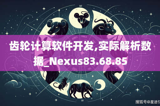 齿轮计算软件开发,实际解析数据_Nexus83.68.85