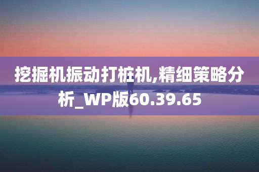 挖掘机振动打桩机,精细策略分析_WP版60.39.65