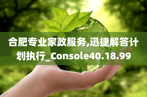 合肥专业家政服务,迅捷解答计划执行_Console40.18.99