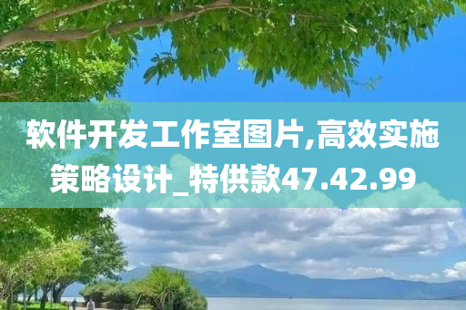 软件开发工作室图片,高效实施策略设计_特供款47.42.99