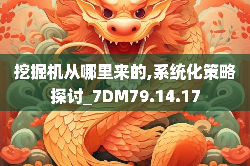 挖掘机从哪里来的,系统化策略探讨_7DM79.14.17