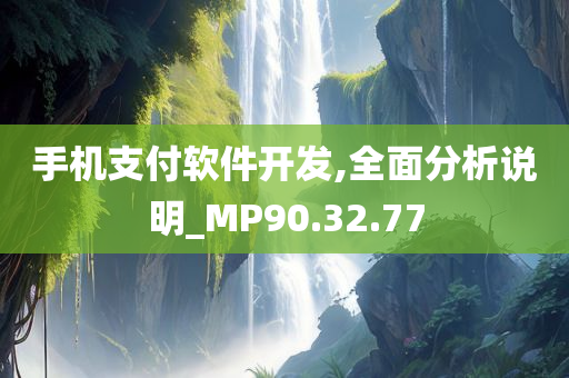 手机支付软件开发,全面分析说明_MP90.32.77