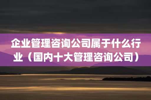 企业管理咨询公司属于什么行业（国内十大管理咨询公司）