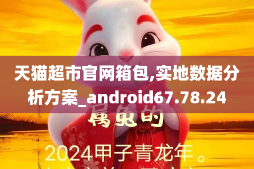 天猫超市官网箱包,实地数据分析方案_android67.78.24