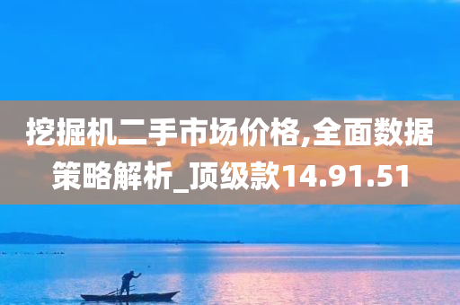 挖掘机二手市场价格,全面数据策略解析_顶级款14.91.51