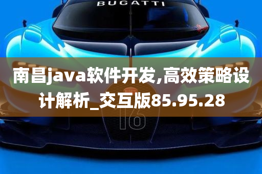 南昌java软件开发,高效策略设计解析_交互版85.95.28