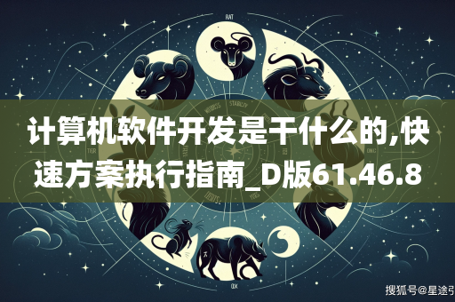 计算机软件开发是干什么的,快速方案执行指南_D版61.46.80