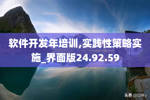 软件开发年培训,实践性策略实施_界面版24.92.59