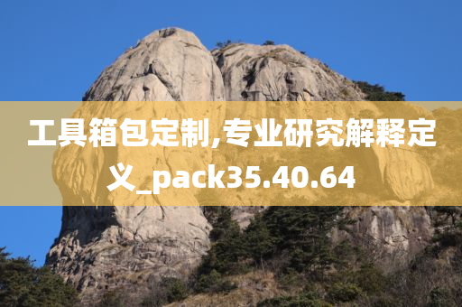 工具箱包定制,专业研究解释定义_pack35.40.64