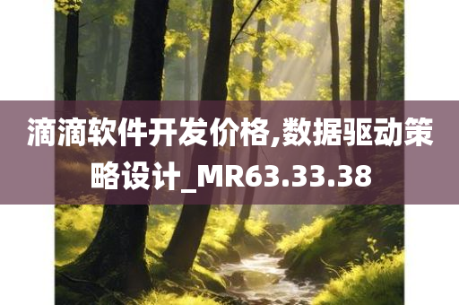 滴滴软件开发价格,数据驱动策略设计_MR63.33.38