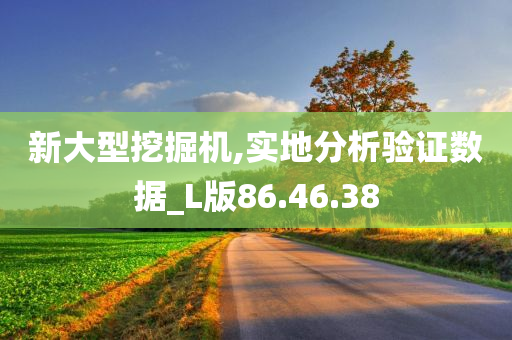 新大型挖掘机,实地分析验证数据_L版86.46.38