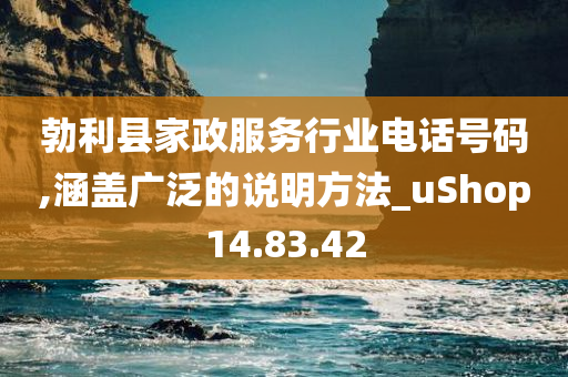 勃利县家政服务行业电话号码,涵盖广泛的说明方法_uShop14.83.42