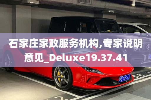 石家庄家政服务机构,专家说明意见_Deluxe19.37.41