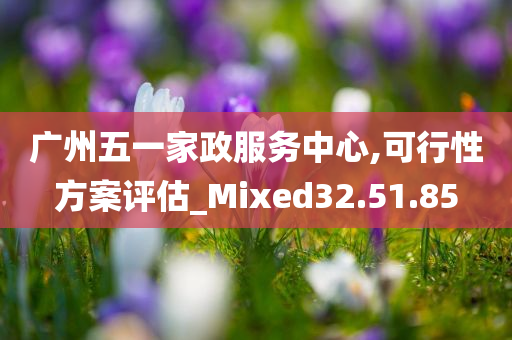 广州五一家政服务中心,可行性方案评估_Mixed32.51.85