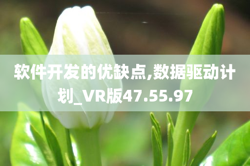 软件开发的优缺点,数据驱动计划_VR版47.55.97