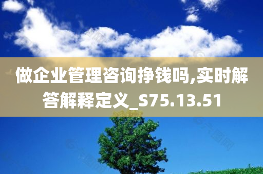 做企业管理咨询挣钱吗,实时解答解释定义_S75.13.51