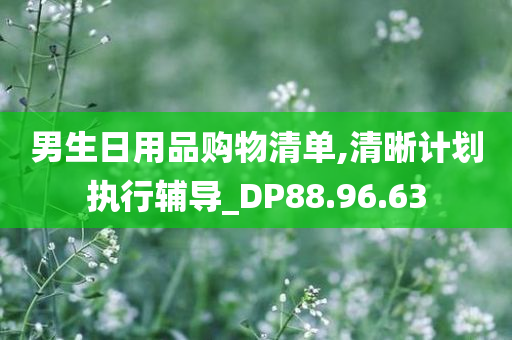 男生日用品购物清单,清晰计划执行辅导_DP88.96.63