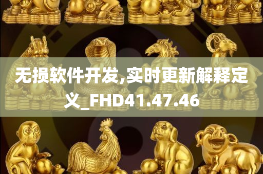 无损软件开发,实时更新解释定义_FHD41.47.46