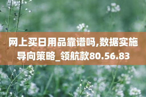 网上买日用品靠谱吗,数据实施导向策略_领航款80.56.83