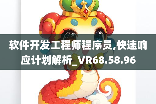 软件开发工程师程序员,快速响应计划解析_VR68.58.96