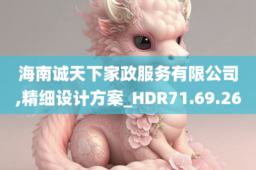 海南诚天下家政服务有限公司,精细设计方案_HDR71.69.26