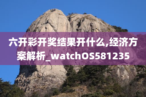 六开彩开奖结果开什么,经济方案解析_watchOS581235