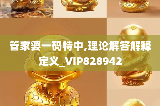 管家婆一码特中,理论解答解释定义_VIP828942