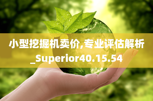 小型挖掘机卖价,专业评估解析_Superior40.15.54