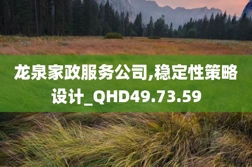 龙泉家政服务公司,稳定性策略设计_QHD49.73.59