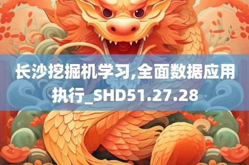 长沙挖掘机学习,全面数据应用执行_SHD51.27.28