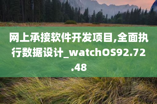 网上承接软件开发项目,全面执行数据设计_watchOS92.72.48