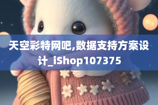 天空彩特网吧,数据支持方案设计_iShop107375