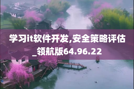 学习it软件开发,安全策略评估_领航版64.96.22