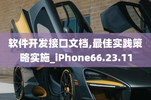 软件开发接口文档,最佳实践策略实施_iPhone66.23.11