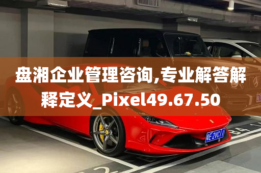 盘湘企业管理咨询,专业解答解释定义_Pixel49.67.50