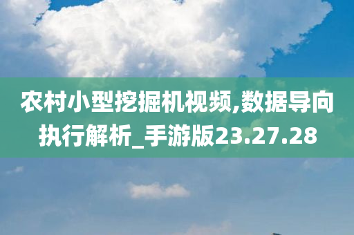 农村小型挖掘机视频,数据导向执行解析_手游版23.27.28