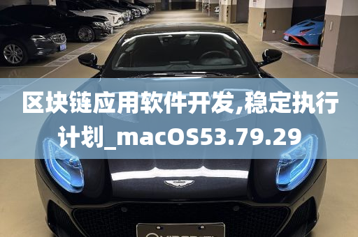 区块链应用软件开发,稳定执行计划_macOS53.79.29