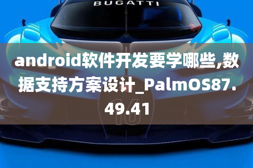 android软件开发要学哪些,数据支持方案设计_PalmOS87.49.41