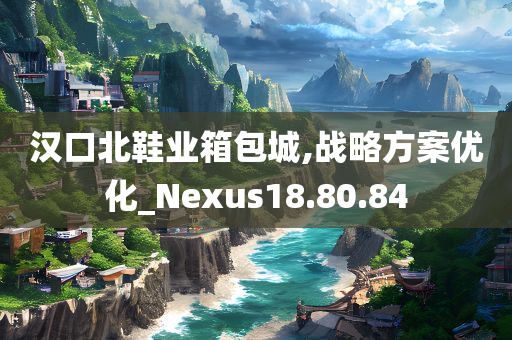 汉口北鞋业箱包城,战略方案优化_Nexus18.80.84