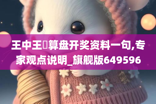 王中王鉄算盘开奖资料一句,专家观点说明_旗舰版649596