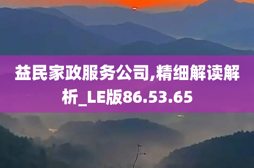 益民家政服务公司,精细解读解析_LE版86.53.65