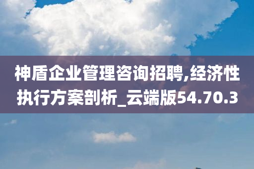 神盾企业管理咨询招聘,经济性执行方案剖析_云端版54.70.30