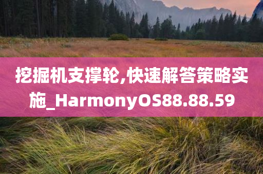 挖掘机支撑轮,快速解答策略实施_HarmonyOS88.88.59