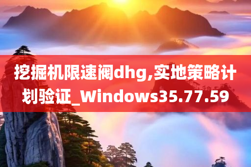 挖掘机限速阀dhg,实地策略计划验证_Windows35.77.59