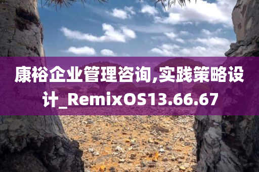 康裕企业管理咨询,实践策略设计_RemixOS13.66.67