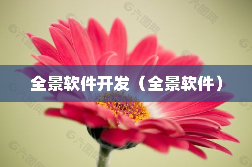 全景软件开发（全景软件）