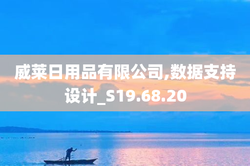 威莱日用品有限公司,数据支持设计_S19.68.20