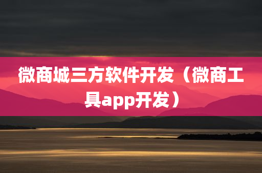 微商城三方软件开发（微商工具app开发）